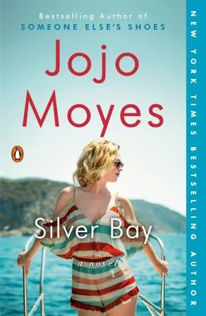 Cover van Silver Bay