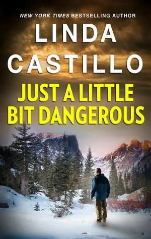 Cover van Just a Little Bit Dangerous