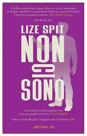 Cover van Non ci sono