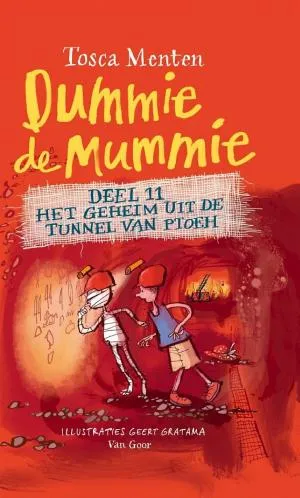 Cover van Het geheim uit de tunnel van Ptoeh