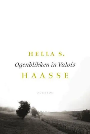 Cover van Ogenblikken in Valois