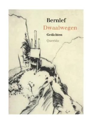 Cover van Dwaalwegen