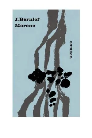 Cover van Morene