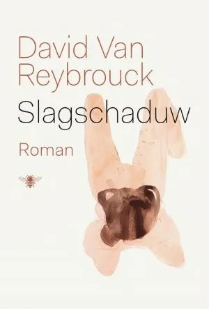 Cover van Slagschaduw