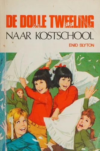 Cover van De dolle tweeling naar kostschool
