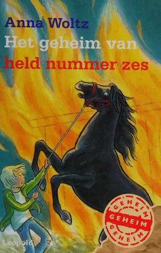 Cover van Het geheim van held nummer zes