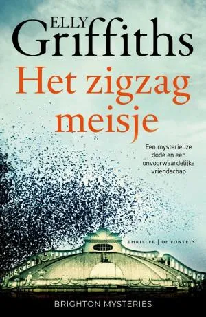 Cover van Het zigzagmeisje