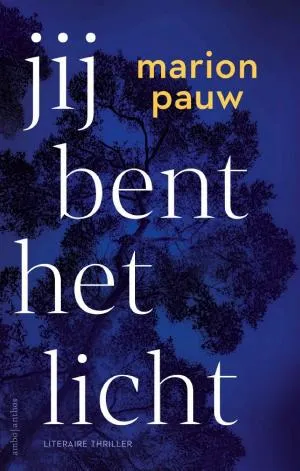Cover van Jij bent het licht