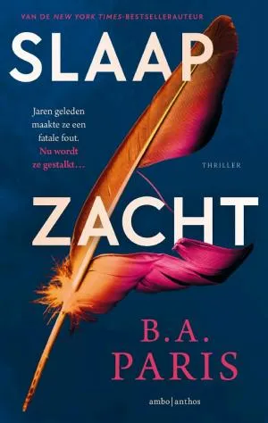 Beste boek van B.A. Paris