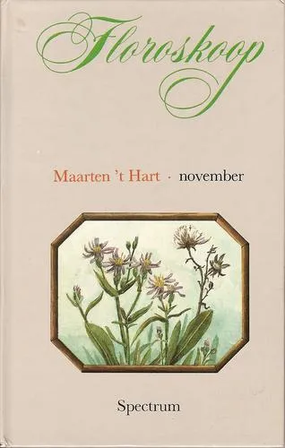 Cover van November