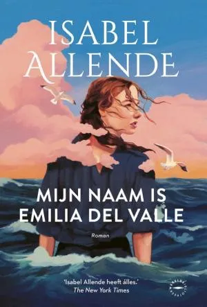 Cover van Mijn naam is Emilia del Valle