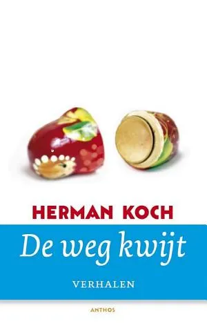 Cover van De weg kwijt