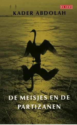 Cover van Meisjes en de partizanen