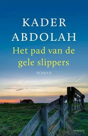 Cover van Het pad van de gele slippers