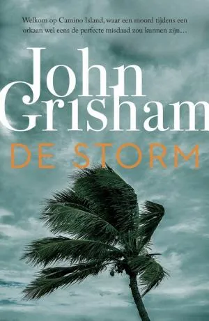 Cover van De storm