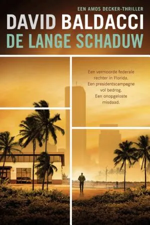 Cover van De lange schaduw