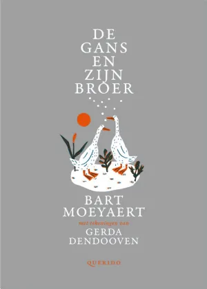 Cover van De gans en zijn broer