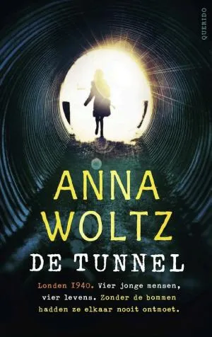 Cover van De tunnel