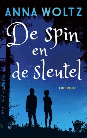 Cover van De spin en de sleutel