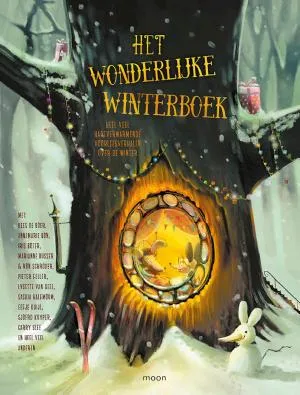 Cover van Het wonderlijke winterboek