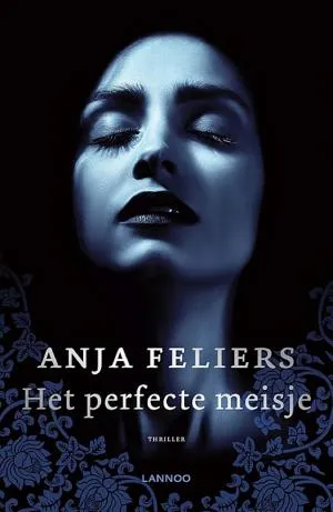 Cover van Het perfecte meisje