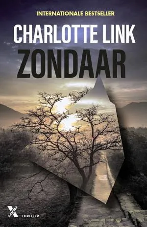 Cover van Zondaar