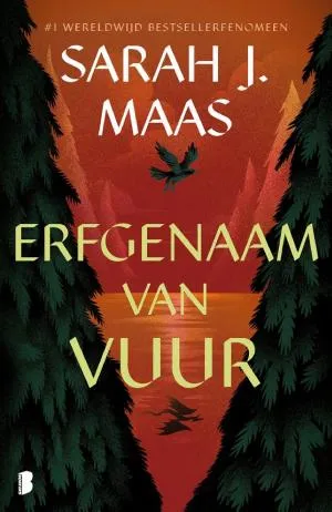 Cover van Erfgenaam van vuur