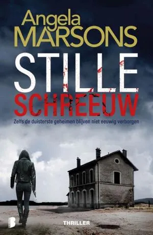Cover van Stille schreeuw