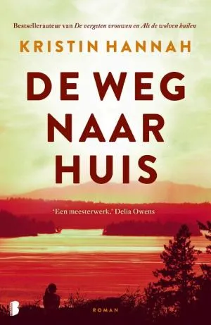 Cover van De weg naar huis