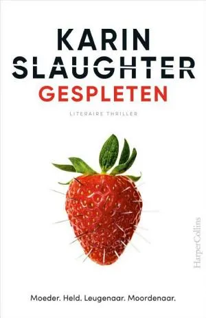Cover van Gespleten