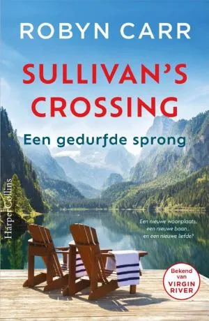 Cover van Een gedurfde sprong