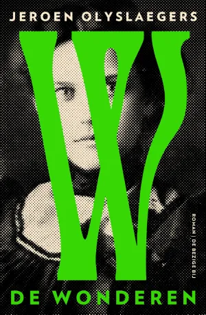 Cover van De wonderen