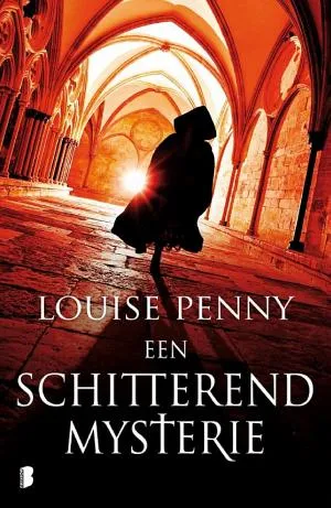 Cover van Een schitterend mysterie