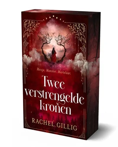 Beste boek van Rachel Gillig