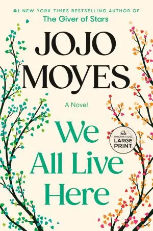 Beste boek van Jojo Moyes